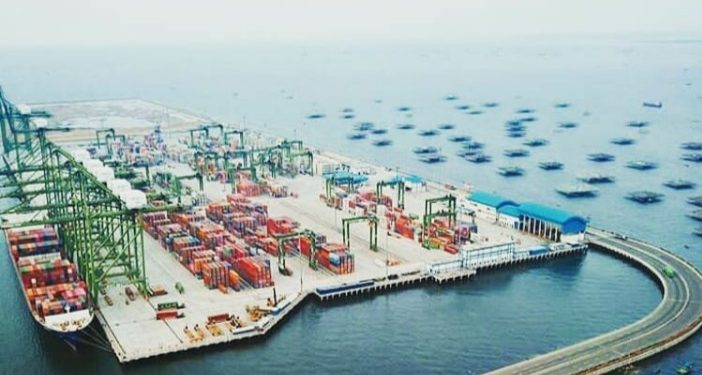 Indonesia Ekspor 16 Kontainer Ternak Ayam ke Jepang dan Timor Leste