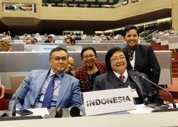Indonesia Jadi Tuan Rumah COP 4 Konvensi Minamata 2021