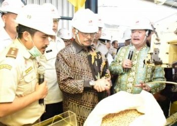Indonesia Ekspor 7,7 Ribu Ton Pakan Ternak ke Filipina