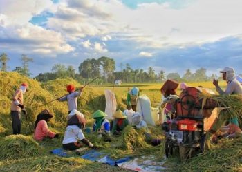 Asia Butuh Investasi US$800 Miliar Agar Mencapai Kemandirian Pangan
