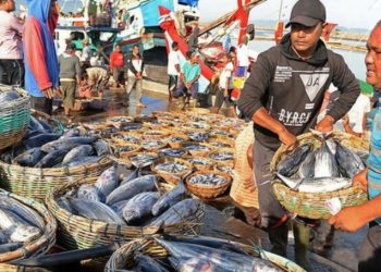 Perusahaan Korea Kontrak Dagang Produk Perikanan Indonesia Rp14 Miliar