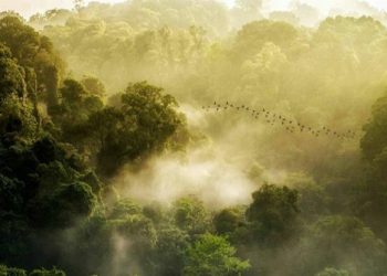 Indonesia Fokus Kembangkan Wisata Konservasi