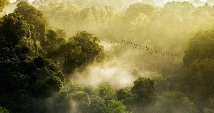 Indonesia Fokus Kembangkan Wisata Konservasi