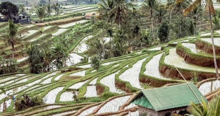 Indonesia Kenalkan Wisata Gastronomi di WTM London