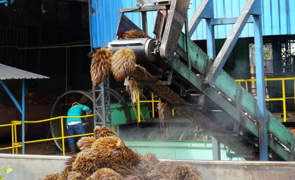 Peru Siap Adopsi Industri Minyak Sawit Indonesia 4
