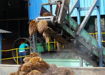 Peru Siap Adopsi Industri Minyak Sawit Indonesia