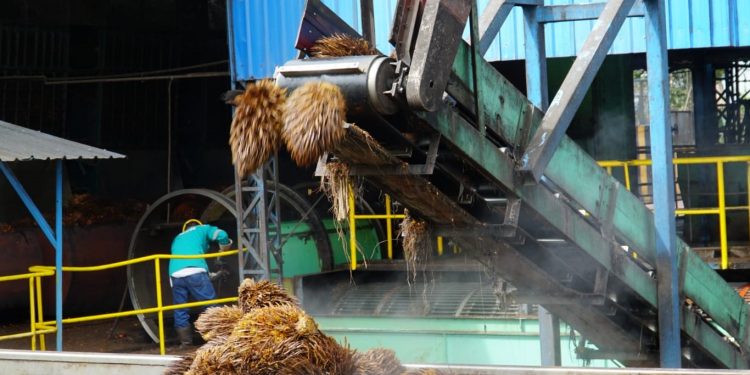 Peru Siap Adopsi Industri Minyak Sawit Indonesia