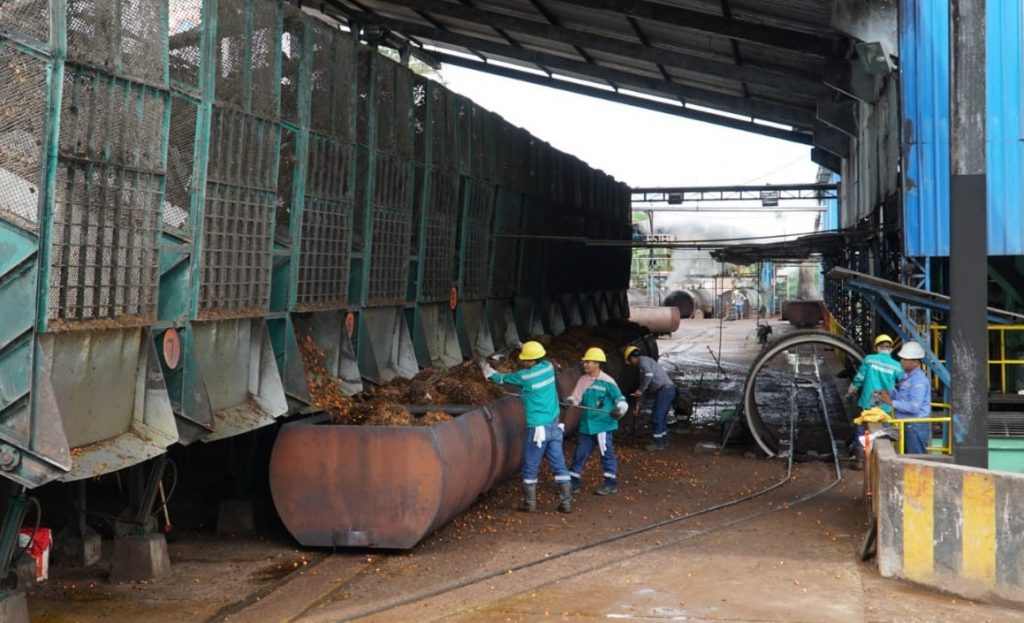 Peru Siap Adopsi Industri Minyak Sawit Indonesia 3