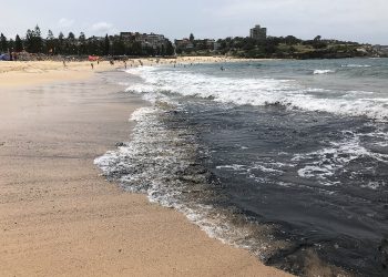 Pantai dan Laut di Sydney Menghitam Akibat Tercemar Abu Kebakaran Hutan