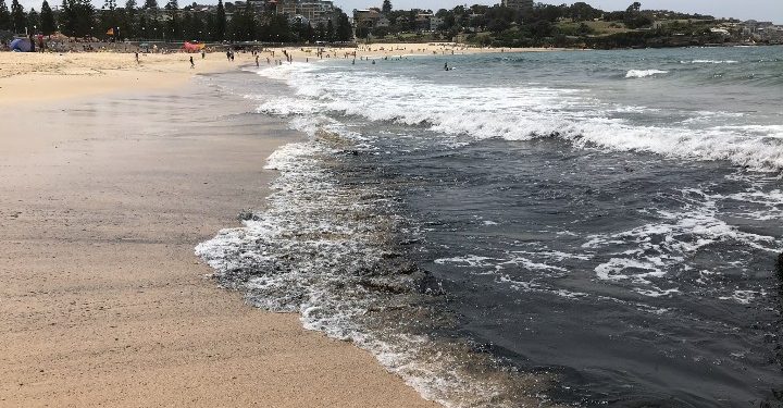 Pantai dan Laut di Sydney Menghitam Akibat Tercemar Abu Kebakaran Hutan