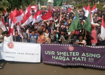 Pemerintah Indonesia Didesak Cabut Izin Smelter China