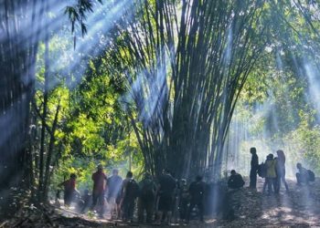 Saingi Tiongkok, Ekowisata Boonpring Didorong Jadi Percontohan di Indonesia