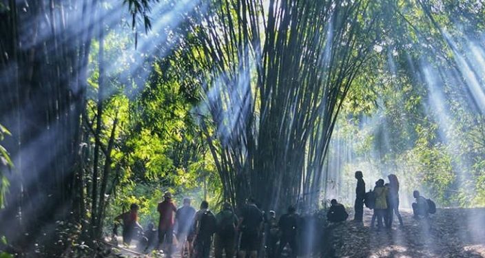 Saingi Tiongkok, Ekowisata Boonpring Didorong Jadi Percontohan di Indonesia