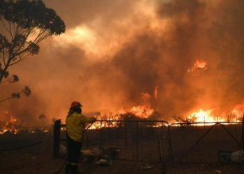Australia Darurat Kebakaran Hutan