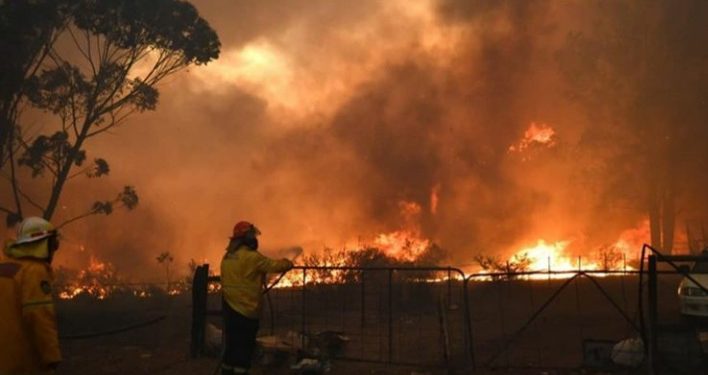 Australia Darurat Kebakaran Hutan
