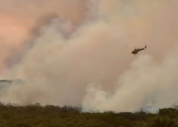 Kebakaran Hutan di Australia, 9 Orang Tewas
