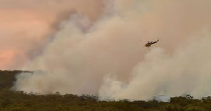 Kebakaran Hutan di Australia, 9 Orang Tewas