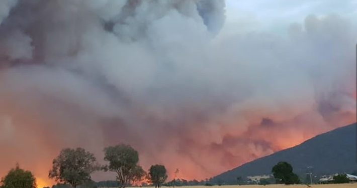 Kebakaran Hutan di Australia Capai Melbourne