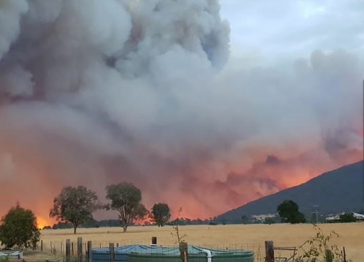Kebakaran Hutan di Australia Capai Melbourne Asia Today
