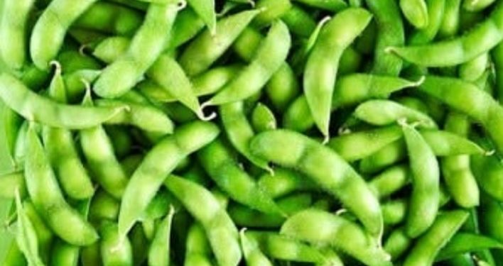 Di Akhir 2019, Indonesia Ekspor 92 Ton Komoditi Edamame ke Jepang