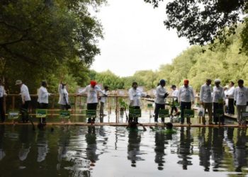 ASEAN Coastal Clean Up : Upaya Kolaborasi Melestarikan Laut