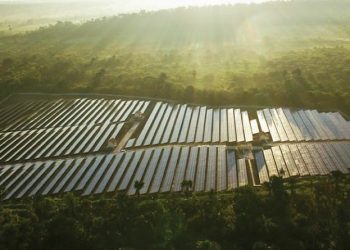 Investasi Rp1 Triliun, PT LEN Gandeng China Bangun Panel Surya di Indonesia