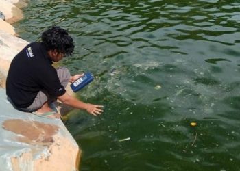 Terkontaminasi Limbah Industri, Perairan Laut di Padang Berubah Jadi Hijau