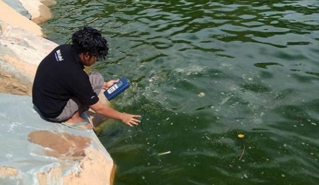 Terkontaminasi Limbah Industri, Perairan Laut di Padang Berubah Jadi Hijau 1 Terkontaminasi Limbah Industri, Perairan Laut di Padang Berubah Jadi Hijau