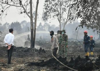 Indonesia Derita Kerugian Rp75 Triliun akibat Kebakaran Hutan