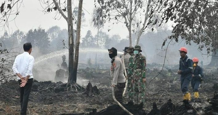 Indonesia Derita Kerugian Rp75 Triliun akibat Kebakaran Hutan