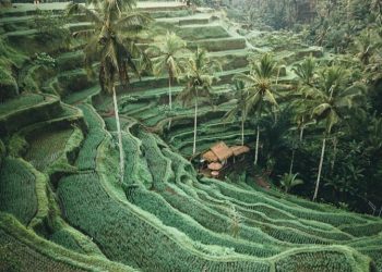 Libur Tahun Baru, Bali Masuk Destinasi Populer di Asia Pasifik untuk Dikunjungi