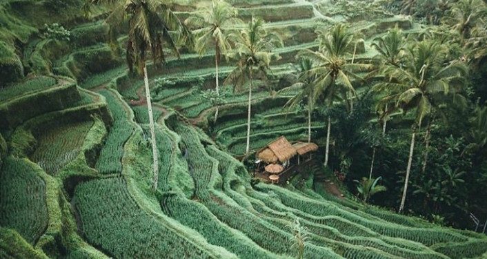 Libur Tahun Baru, Bali Masuk Destinasi Populer di Asia Pasifik untuk Dikunjungi