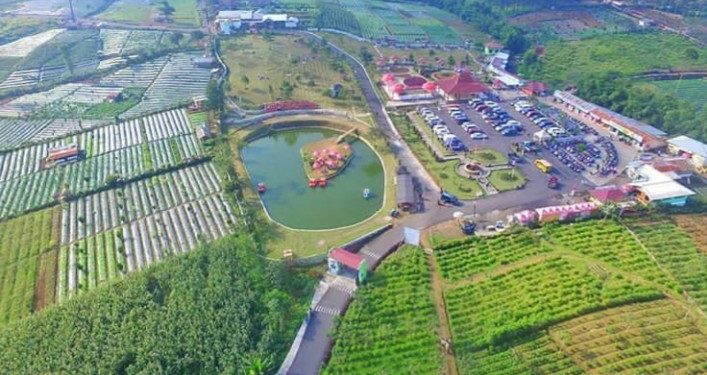 Libur Tahun Baru, 34 Ribu Wisatawan Kunjungi Desa Wisata Serang Purbalingga