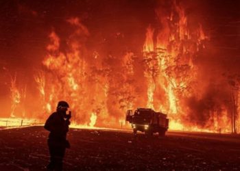 Kebakaran Hutan di Australia Menggugah Kepedulian Selebritas Dunia