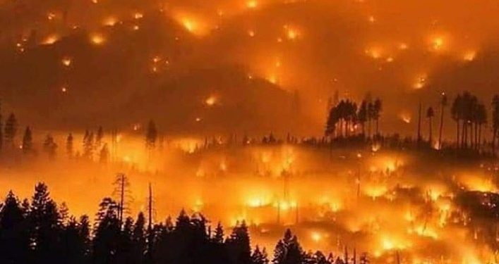 28 Orang Tewas, PM Australia Sesali Responnya Atasi Kebakaran Hutan