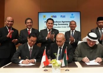 Investasi Rp1,8 Triliun, Indonesia Gandeng UEA Bangun PLTS Terbesar di ASEAN
