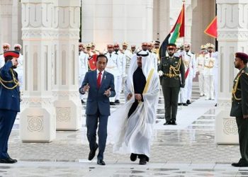 Jokowi Minta Putra Mahkota UEA Jadi Dewan Pengarah Pembangunan Ibu Kota Baru