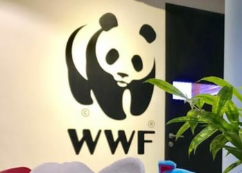 KLHK Hentikan Kerja Sama dengan WWF Indonesia