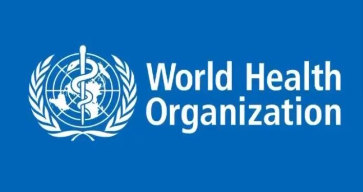 WHO Menduga Wabah Pneumonia di China Bersumber dari Pasar Seafood Wuhan