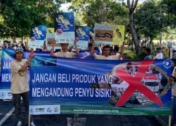 Gerakan Penyelamatan Penyu Sisik di Indonesia Menggema di Bali
