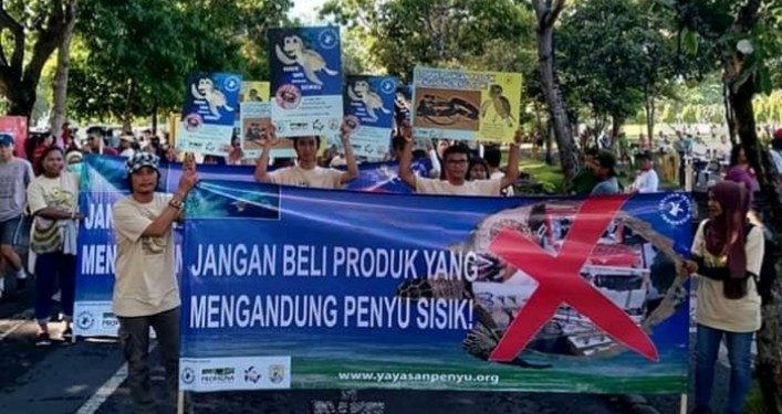 Gerakan Penyelamatan Penyu Sisik di Indonesia Menggema di Bali