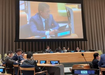 Indonesia Terpilih Kembali Sebagai Wakil Ketua Komite Palestina PBB