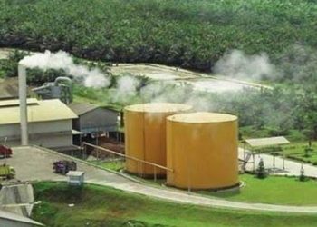 Bidik Pasar India, Produsen CPO Indonesia Optimis Hadapi Dampak Virus Corona