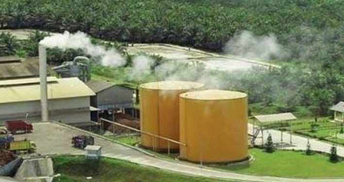Bidik Pasar India, Produsen CPO Indonesia Optimis Hadapi Dampak Virus Corona