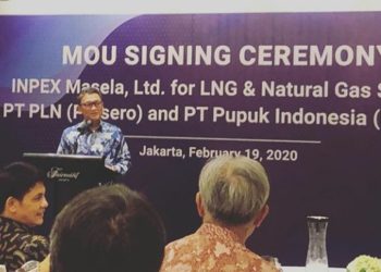 Era Baru Pembangkit Listrik di Indonesia, Bahan Bakar Mulai Gunakan EBT