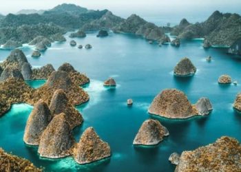 Papua dan Papua Barat Dirancang Jadi Basis Investasi Hijau Indonesia