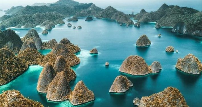 Papua dan Papua Barat Dirancang Jadi Basis Investasi Hijau Indonesia