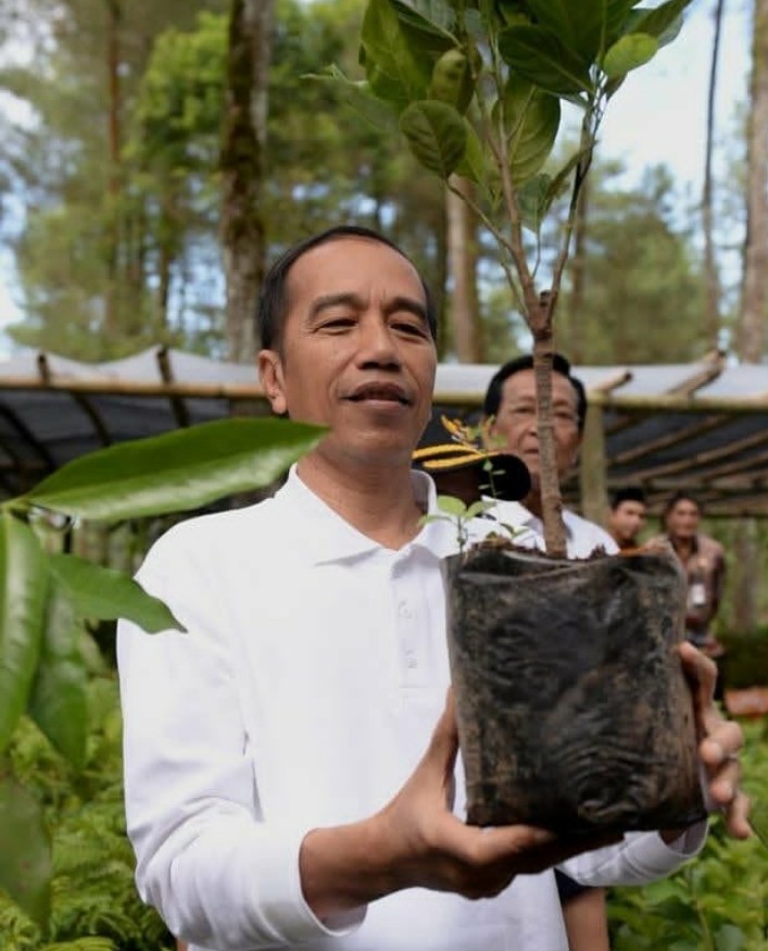 Atasi Banjir dan Longsor, Kini Saatnya Menghijaukan Kembali Alam Indonesia ﻿ 1