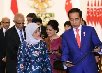 Selain Investasi, Indonesia-Singapura Perkuat Kerja Sama Penegakan Hukum Kepabeanan