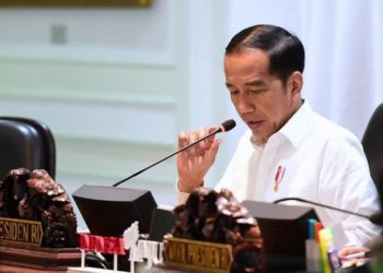 Pulang dari Australia, Jokowi Instruksikan EODB Indonesia harus Masuk 40 Besar Dunia